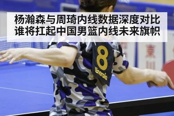 杨瀚森与周琦内线数据深度对比谁将扛起中国男篮内线未来旗帜